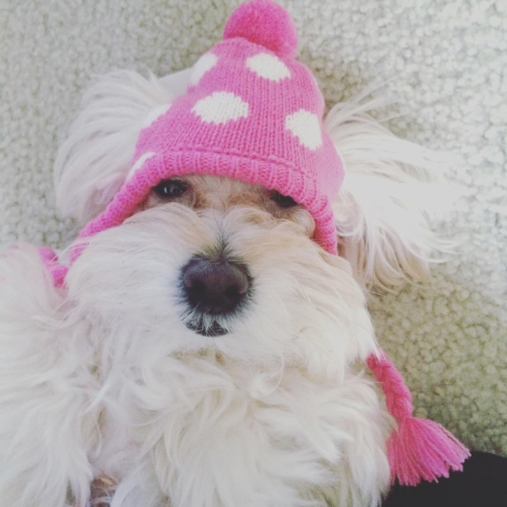 Meet your Posher, Ali